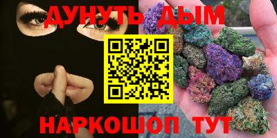 гашик Новозыбков