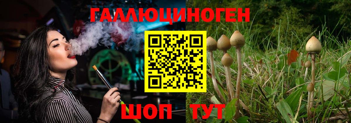 Галлюциногенные грибы ЛСД  Вход с VPN  Саянск  Галлюциногенные грибы MAGIC MUSHROOMS 